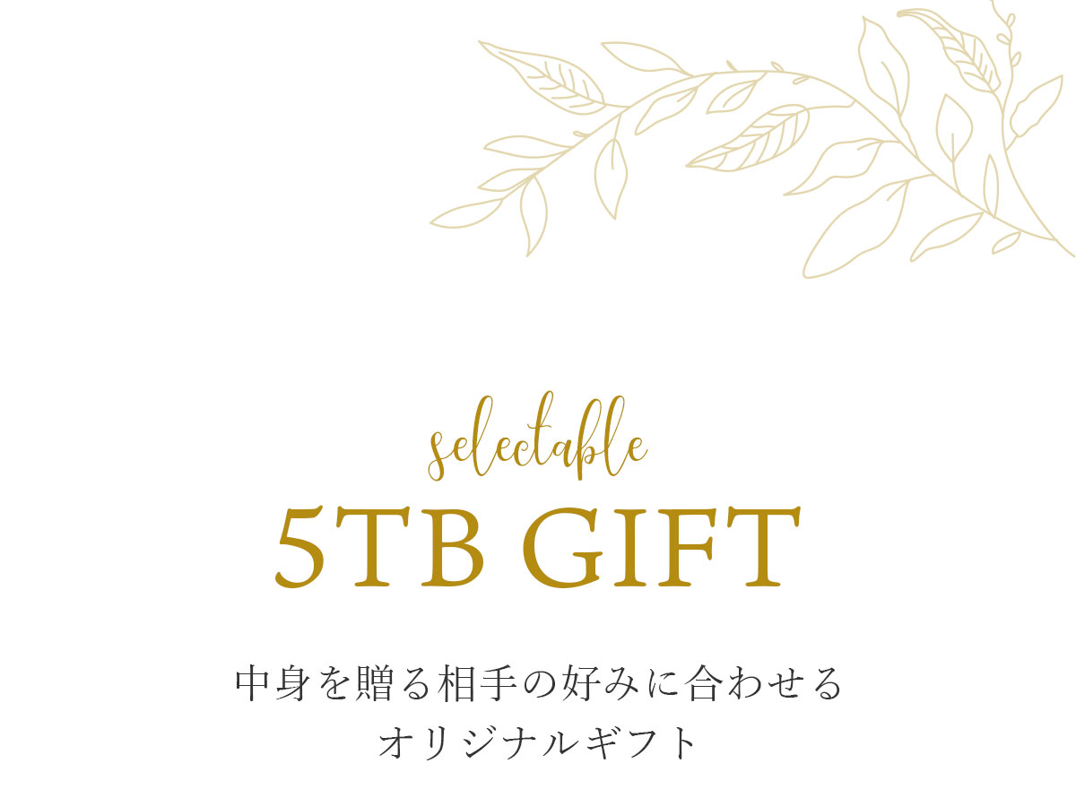 �I�肷���� 5TB����6�M�t�g�Z�b�g