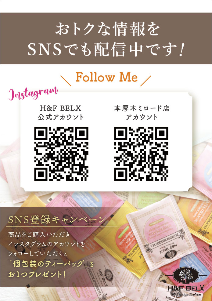 H&F BELX 本厚木ミロード店キャンペーン
