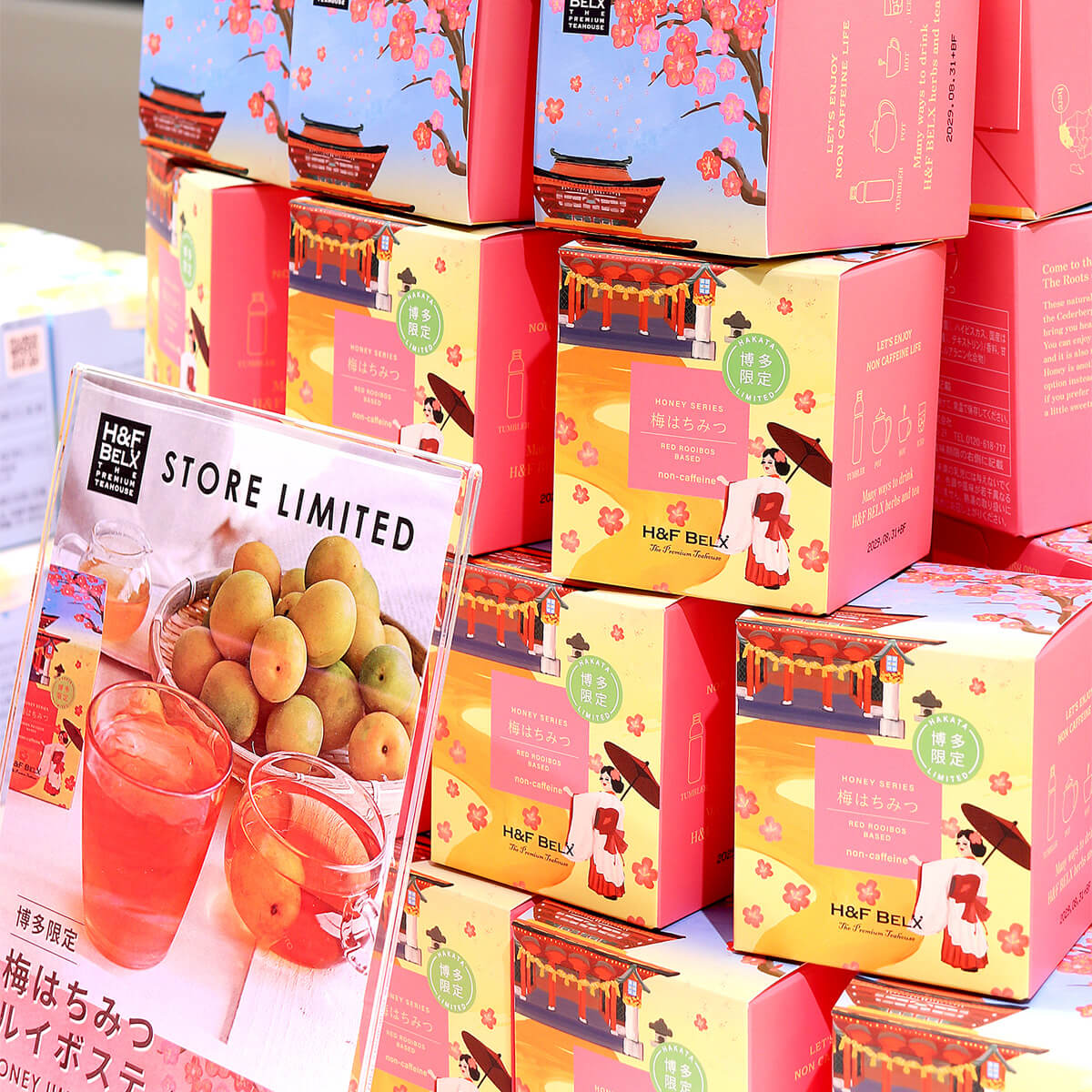 H&F BELX天神地下街店