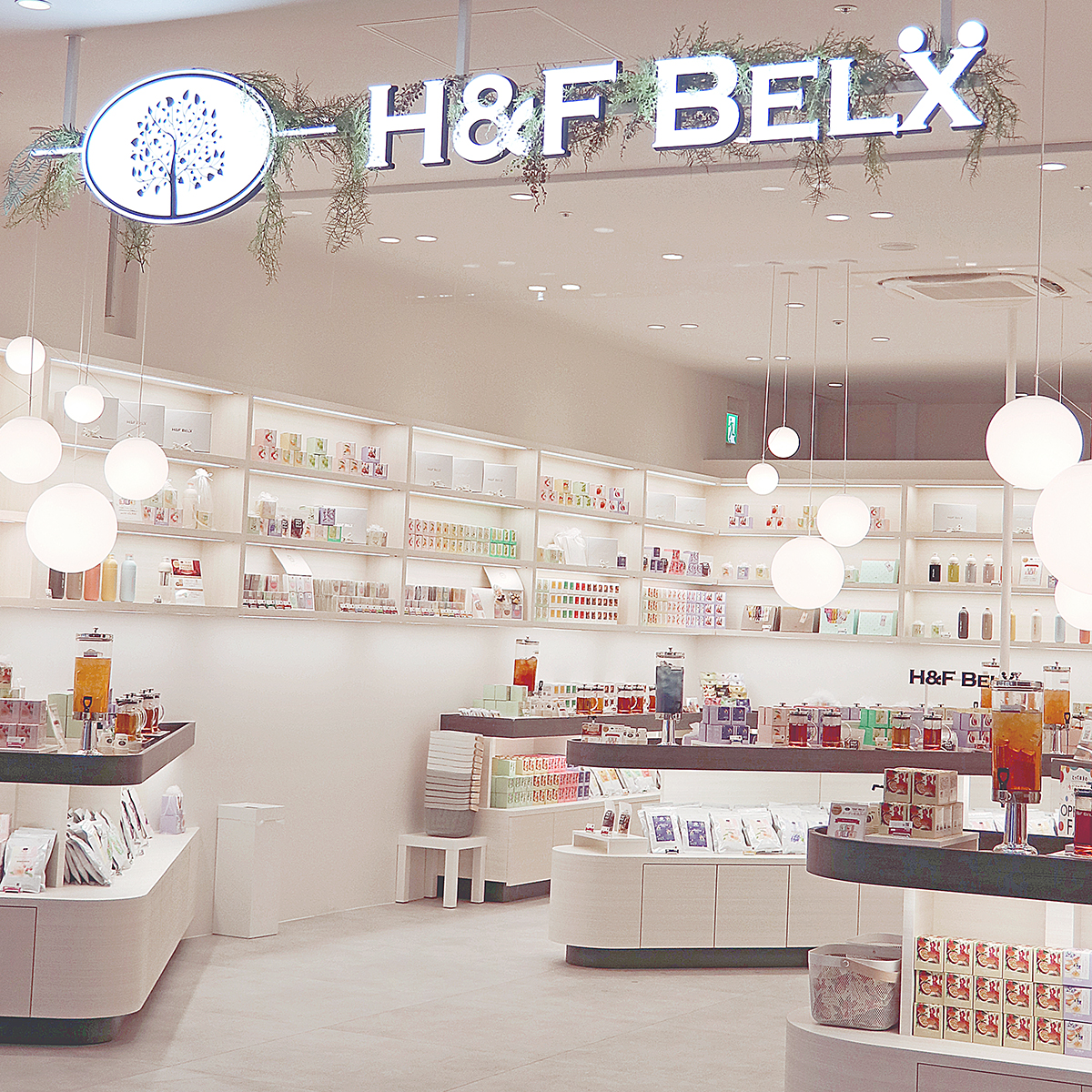 ルイボスティーH&F BELX求人