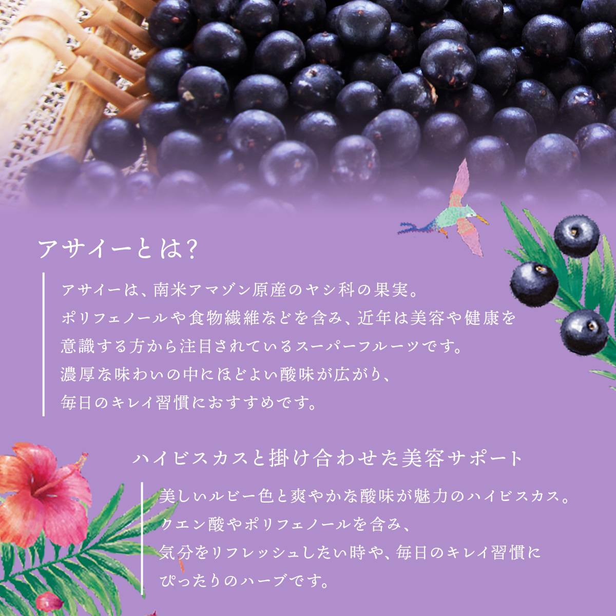 �A�T�C�[ ���C�{�X�e�B�[