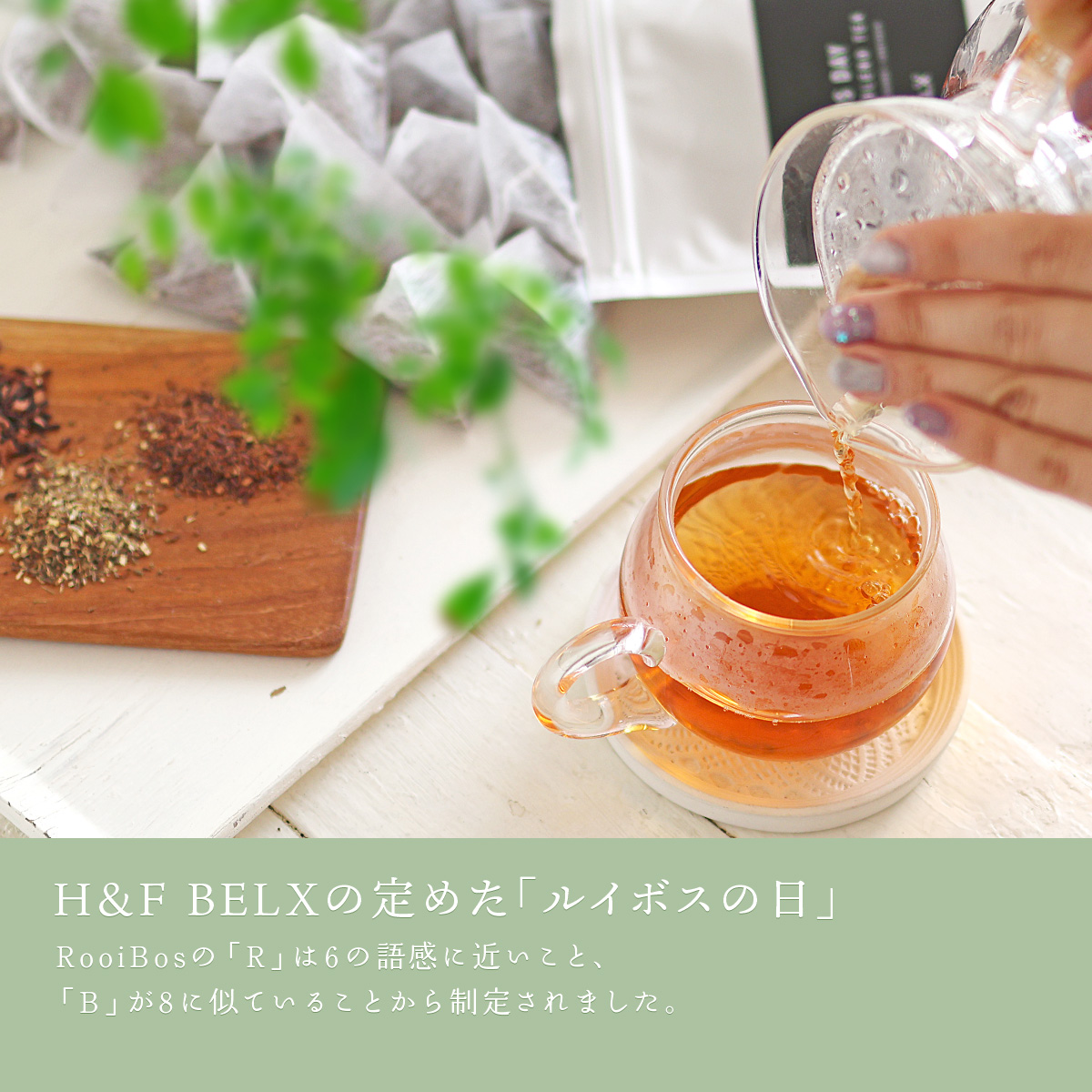 H&F BELX���C�{�X�̓��i6��8���j����̗R�� RooiBos��R��6�AB��8�ɗR�� 3��̒��t�̃X�y�V�����u�����h�e�B�[