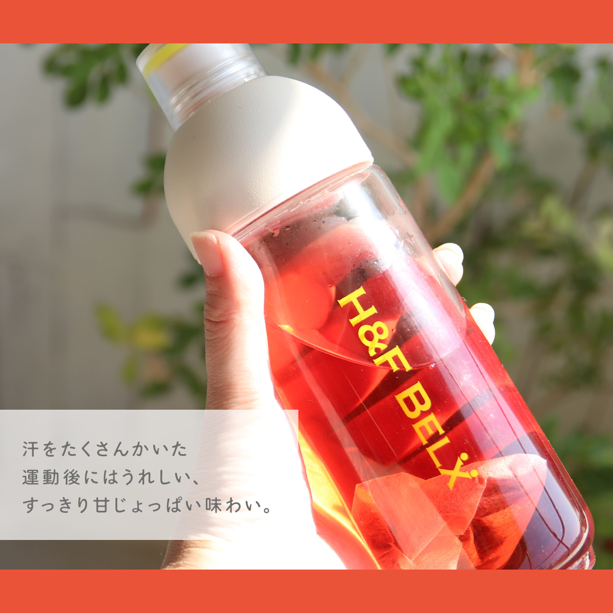 ���g�}�g ���C�{�X�e�B�[