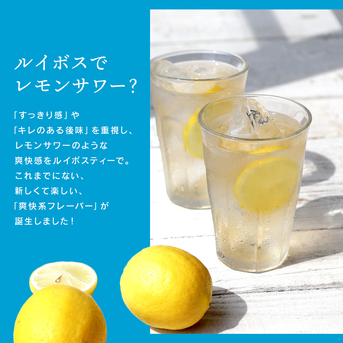 �������T���[ ���C�{�X�e�B�[
