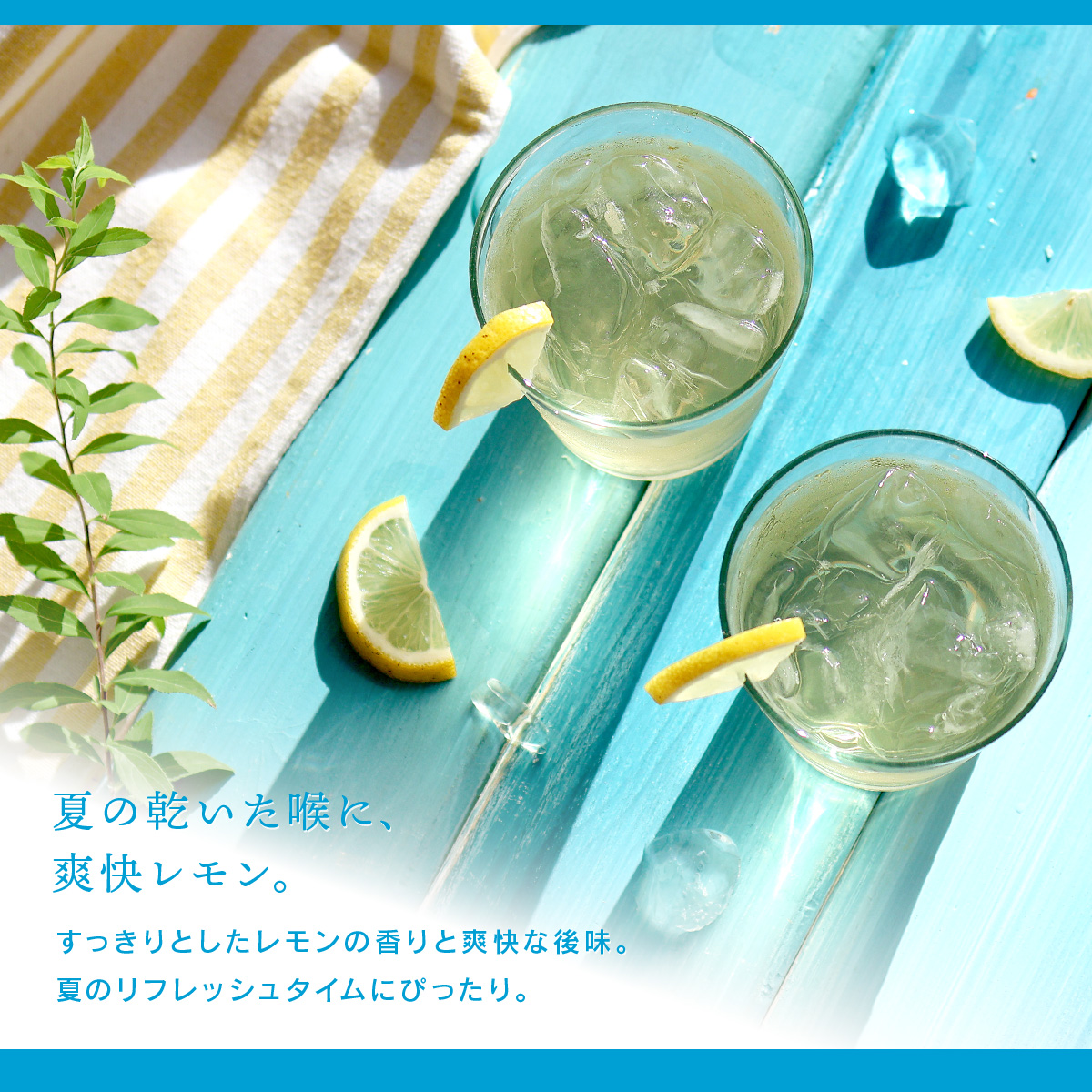 �������T���[ ���C�{�X�e�B�[
