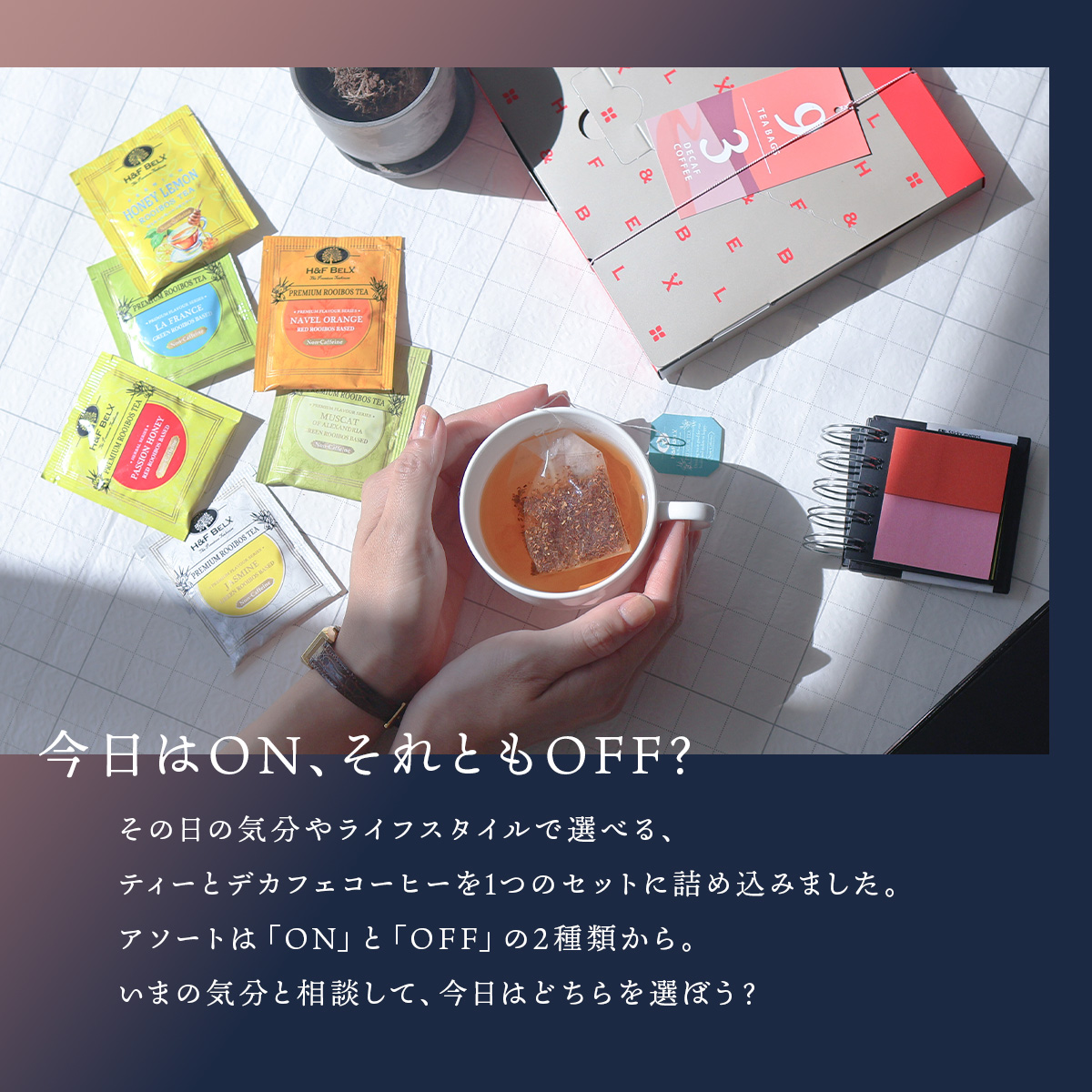 ���C�{�X�e�B�[ �e�B�[�o�b�O �f�J�t�F�R�[�q�[ �A�\�[�g�iON time/OFF time�j