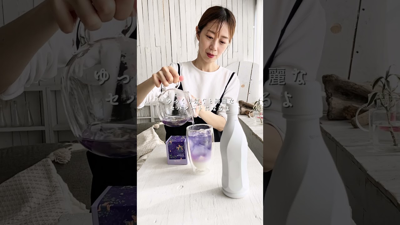 youtube｜H&F BELX バタフライピー × カルピス（乳酸菌飲料）でセパレートラテ風♡ #shorts